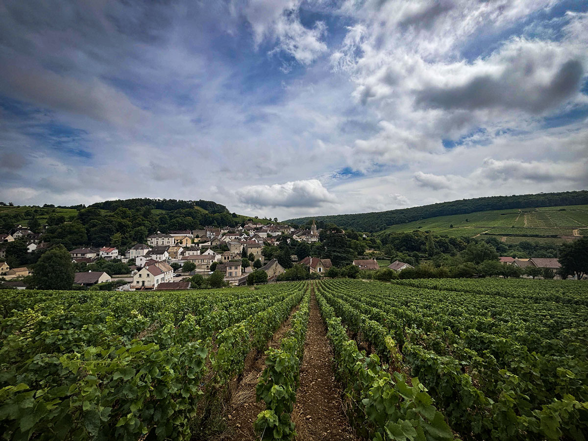 appellation-pernand-vergelesses-bourgogne-vin