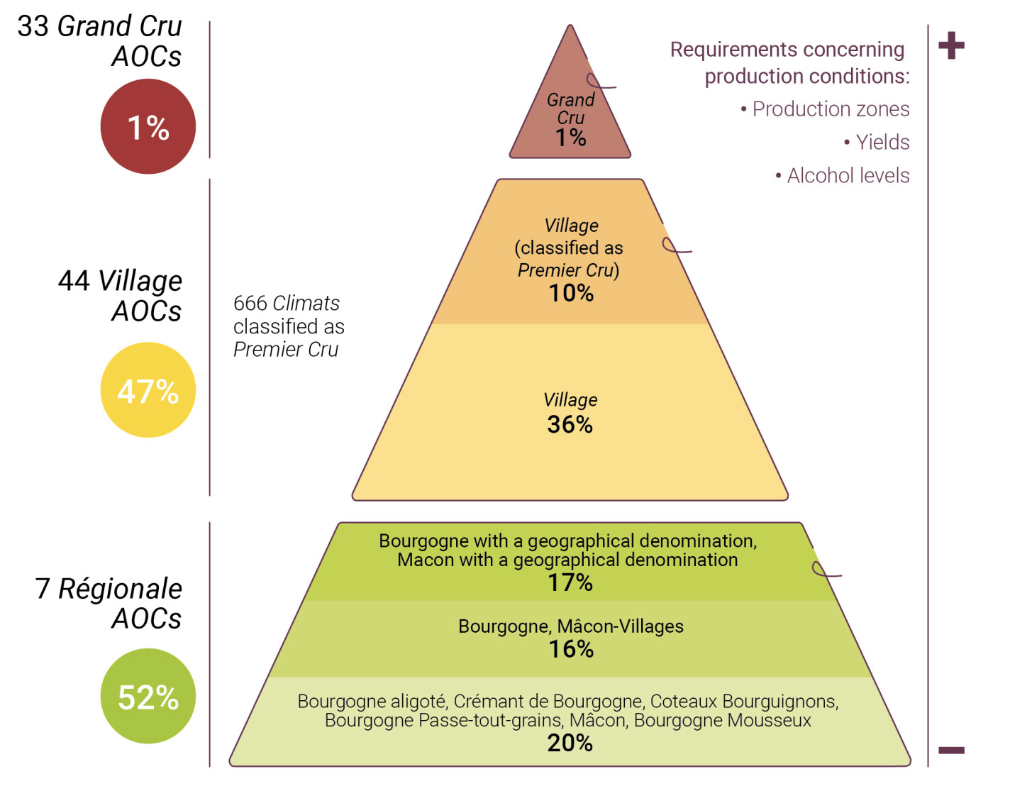 La piramide delle denominazioni dei vini di Borgogna