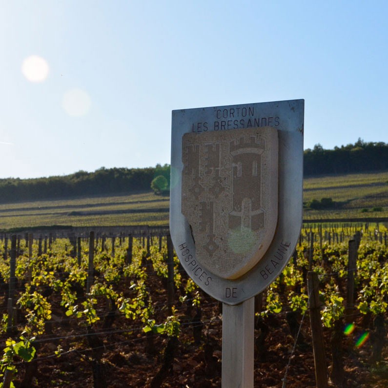 carre-panneau-hospices-corton-