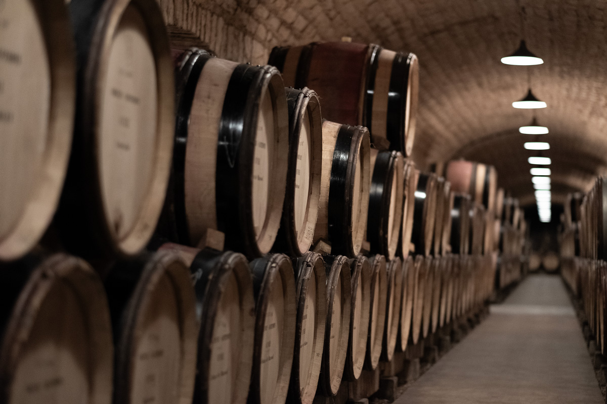 cellar-aging-wine-hospices-albertbichot-beaune-dscf6288.jpg