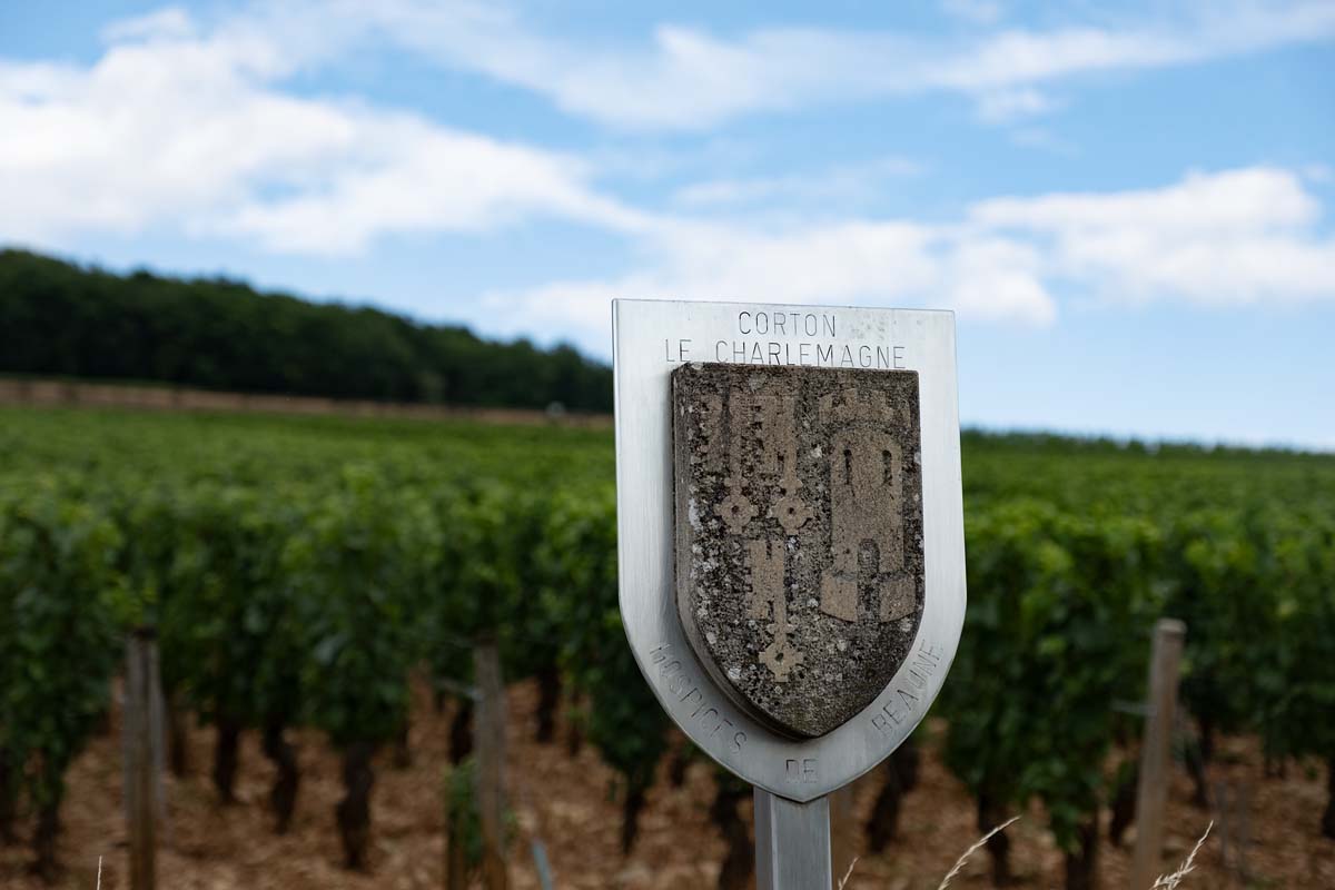 Harvest 2026 report Domaine des Hospices de Beaune (burgundy wine)