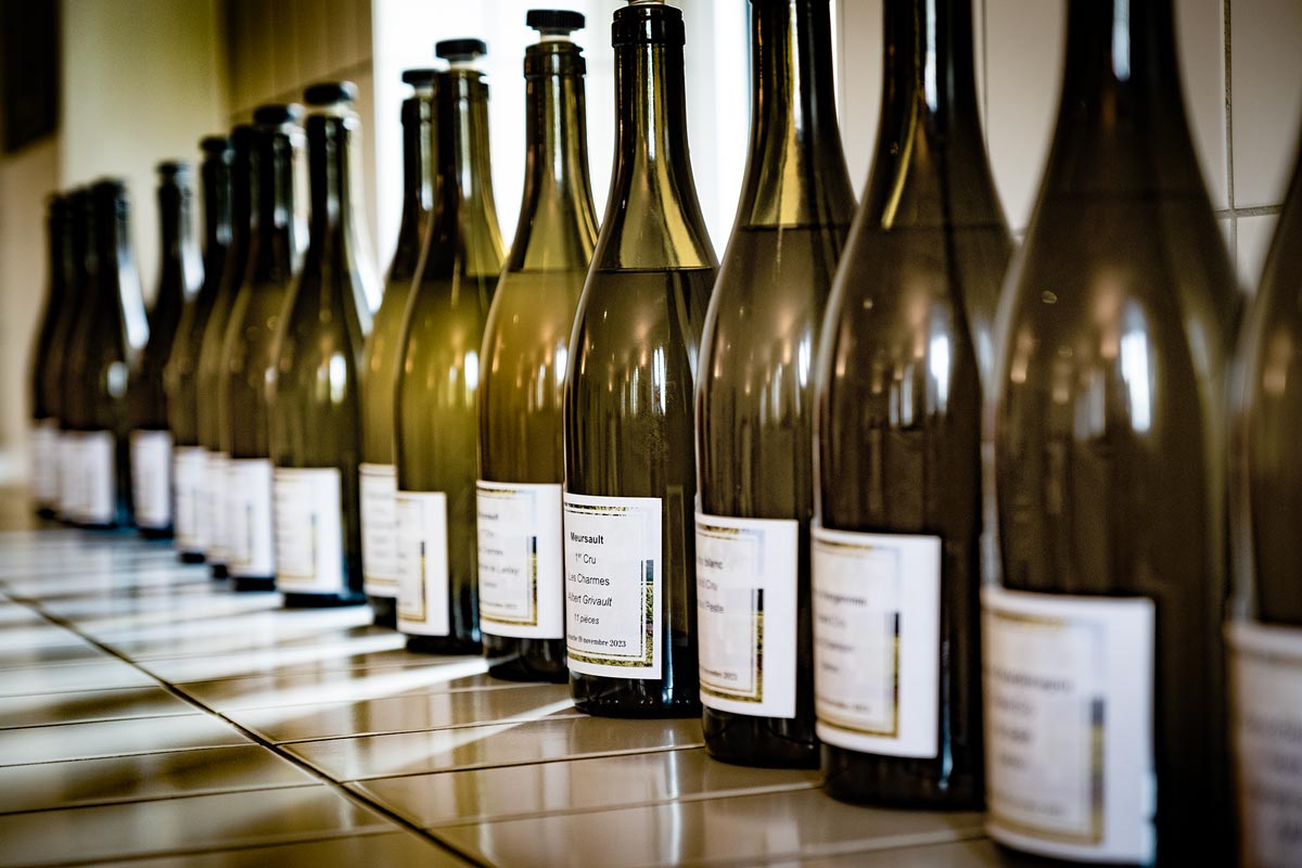 Bouteilles de vin du Domaine des Hospices de Beaune durant une dégustation à la cuverie en 2025