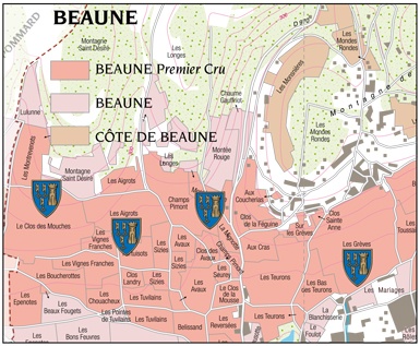 Beaune-1er-Cru-Hugues-et-Louis-Bétault