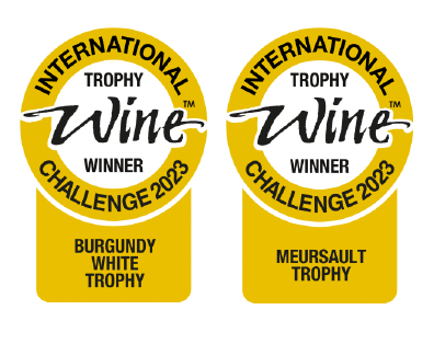 International Wine Challenge and Decanter Awards : outstanding results for Hospices de Beaune wines aged by Albert Bichot (vintage 2021)