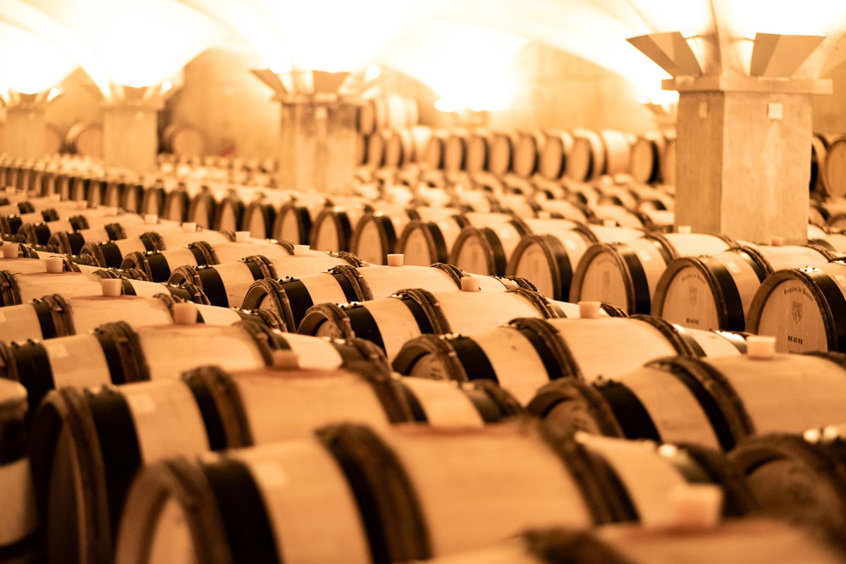 Hospices de Beaune 2022 auction: 802 barrels for sale! 620 red and 182 white wines