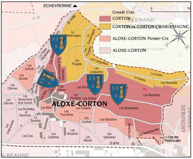 Corton-Grand-CRu-Docteur-Peste