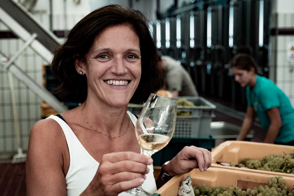 Video: vintage 2023 overview with Hospices de Beaune winemaker Ludivine Griveau