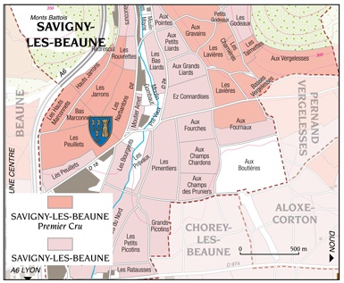 Savigny-lès-Beaune-1er-Cru-Arthur-Girard