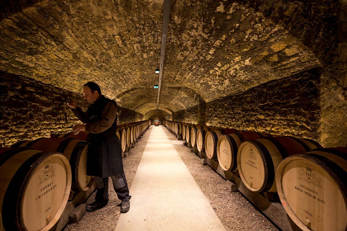 Ageing the 2019 vintage wines at Domaines Albert Bichot